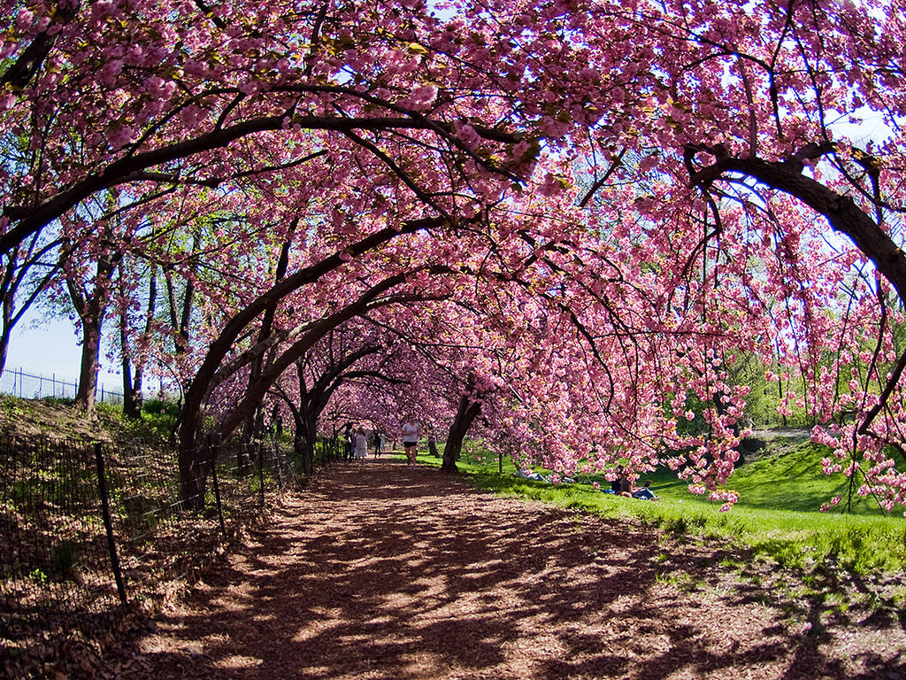 Prepare to swoon at these 20 beautiful photos of NYC in spring