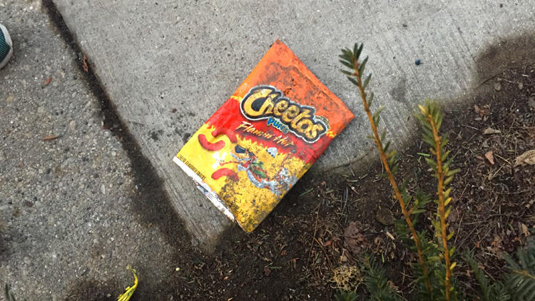 Flamin' Hot Cheetos