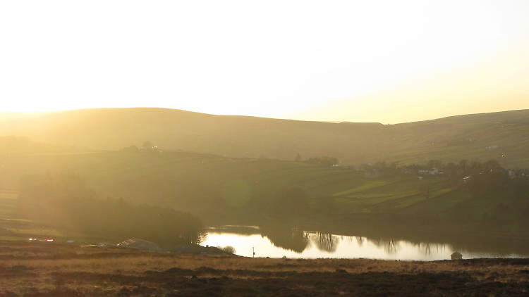 Spring evening at Lower Laithe