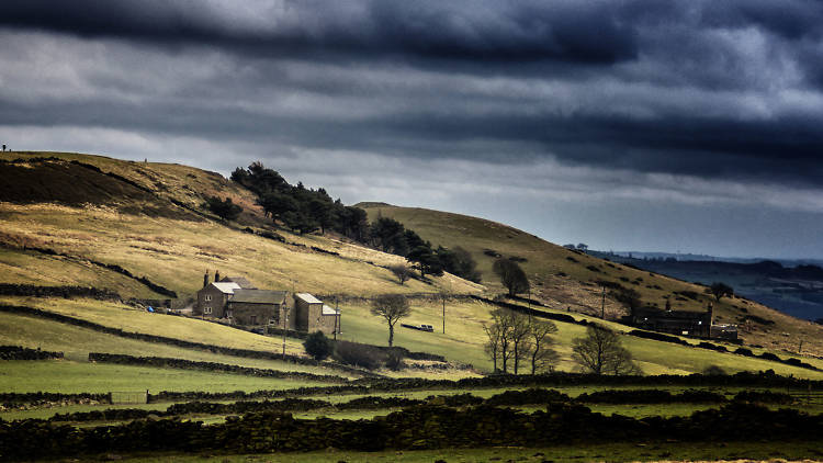 Strines Moor