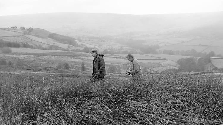 Walking the moors