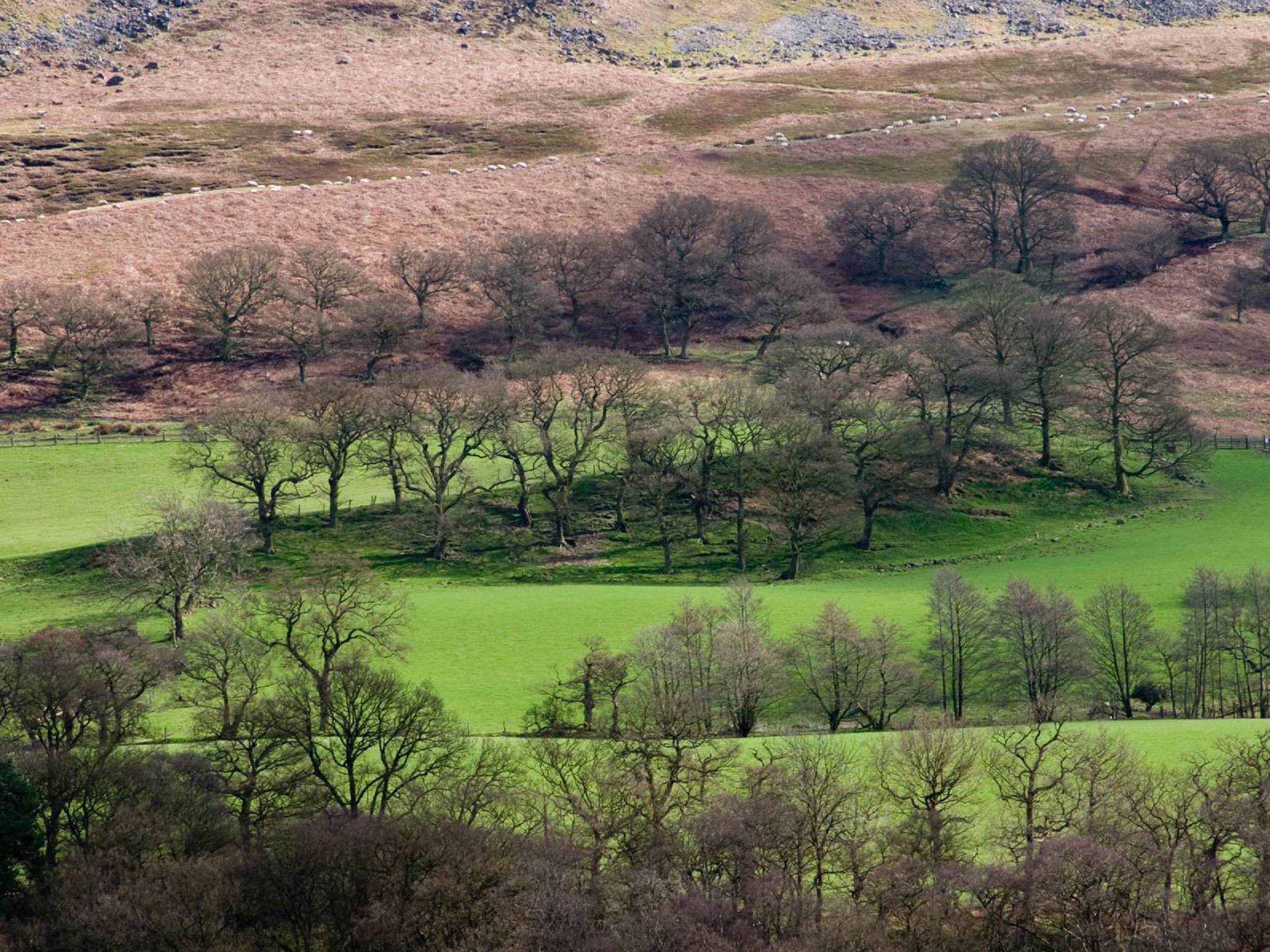 easter-break-north-york-moors-north-york-moors-yorkshire-day-north