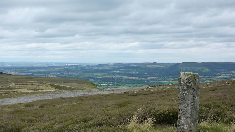 Boundary Stone on Urra Moor