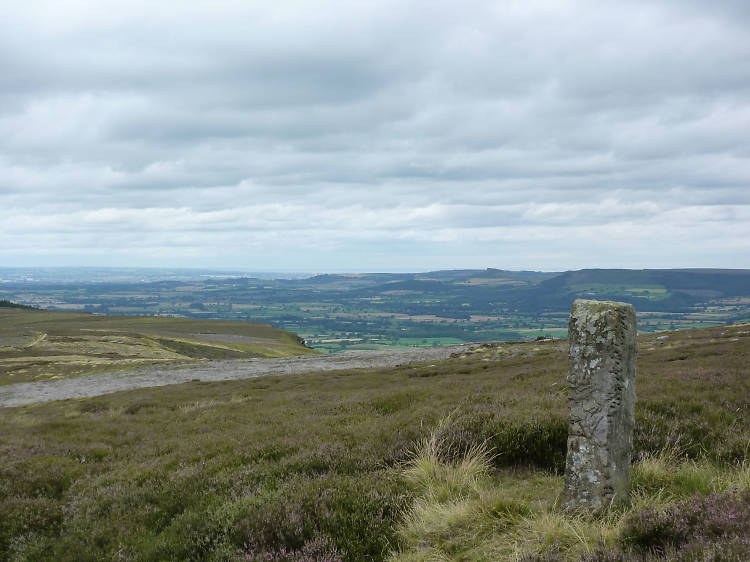 Boundary Stone on Urra Moor