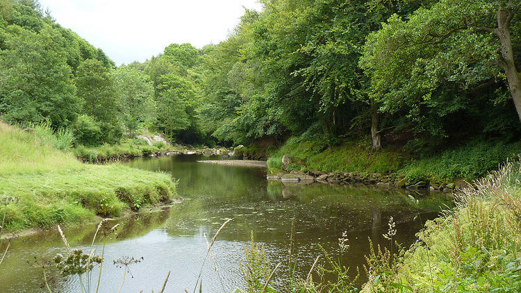 River Esk