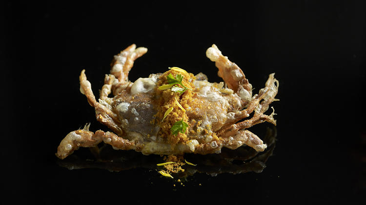 Mitzo - soft shell crab with curry floss