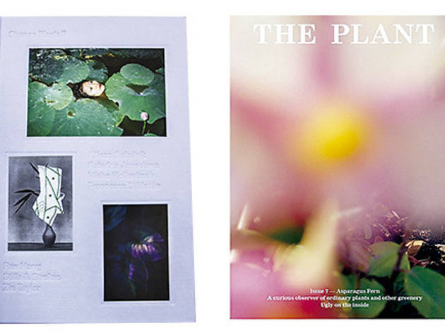 The Plant The Plant