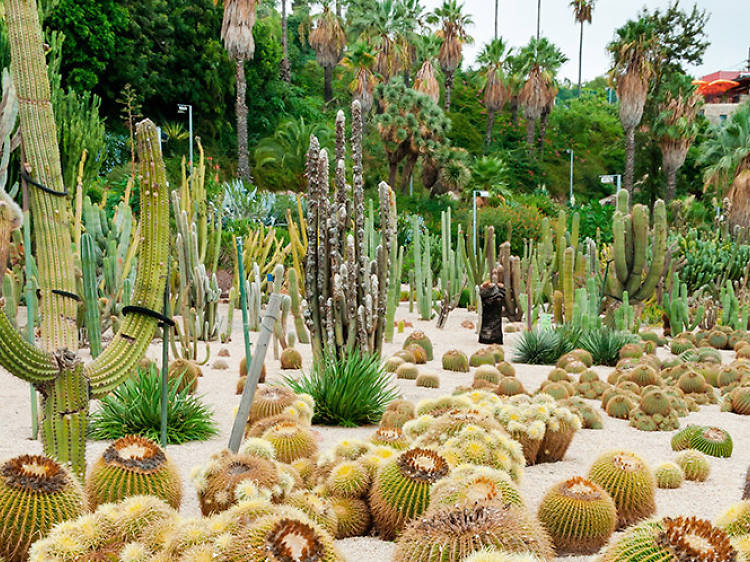 Botanical Garden of Barcelona CLOSED