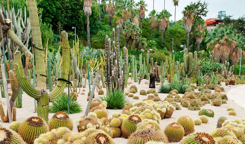 Jard&iacute; Bot&agrave;nic