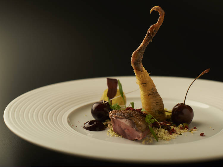 Squab pigeon with cherries, pistachio and violet mustard at Manchester House
