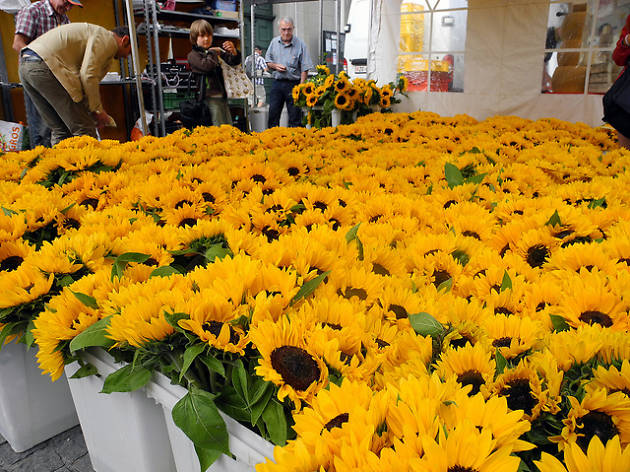 Helvetiaplatz-Markt Flower market, Zurich, Time Out Switzerland