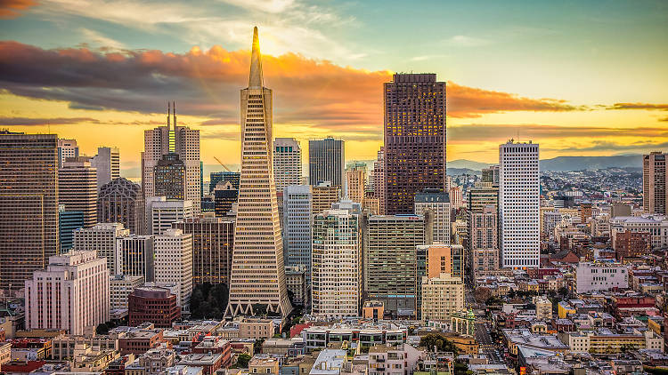 Financial District of San Francisco as seen from Coit Tower.