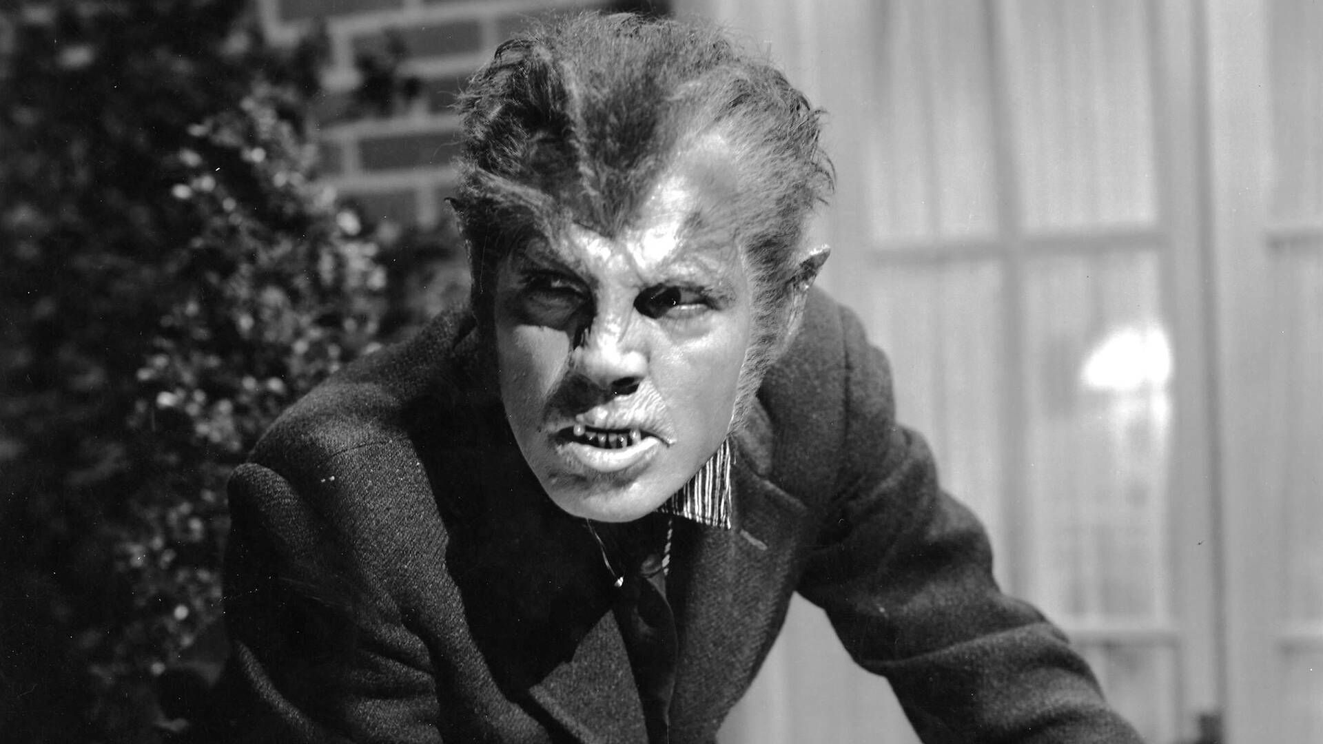 Werewolf Filmon The 10 best werewolf movies
