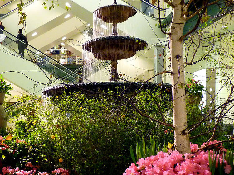 Get ready for Macy's Flower Show with these beautiful photos