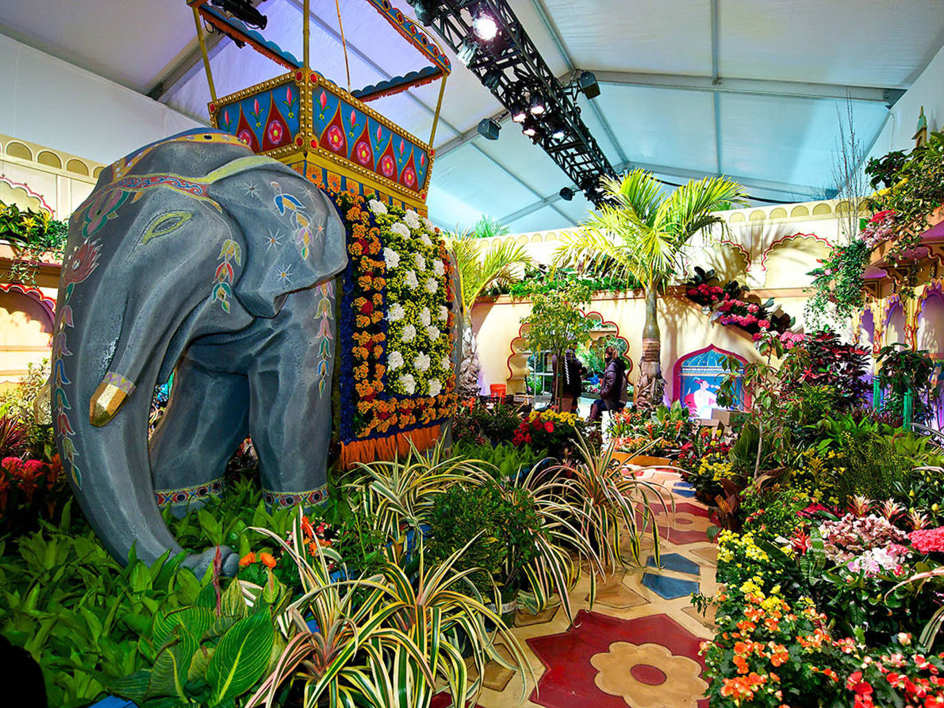 Get ready for Macy's Flower Show with these beautiful photos