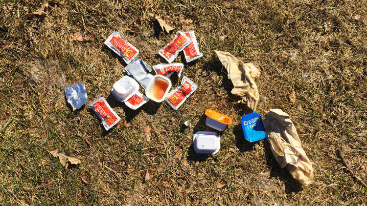 A variety of McNugget dipping sauces