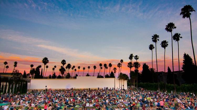 Watch movies under the stars