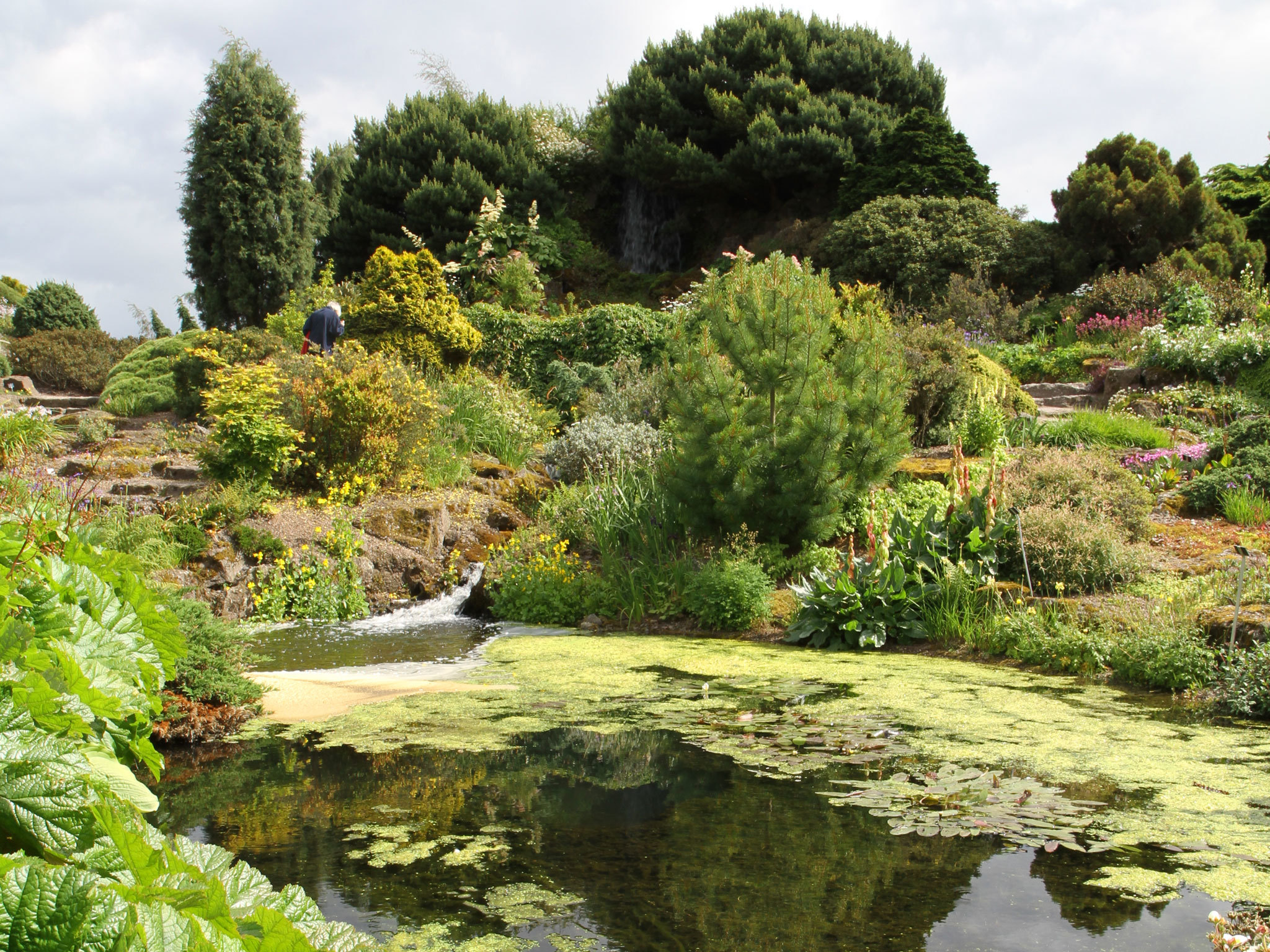 Royal Botanic Gardens Edinburgh photo gallery