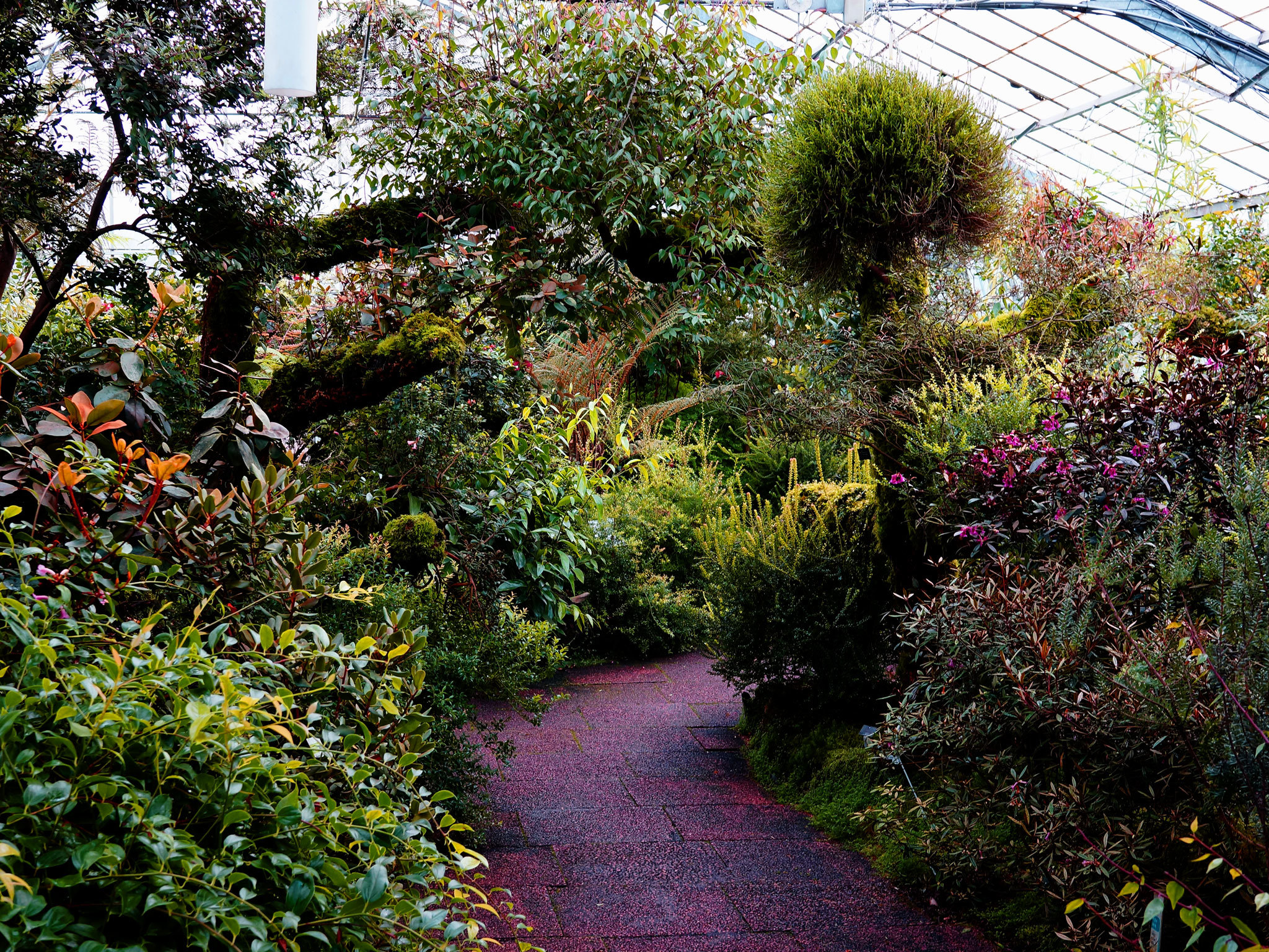 Royal Botanic Gardens Edinburgh photo gallery