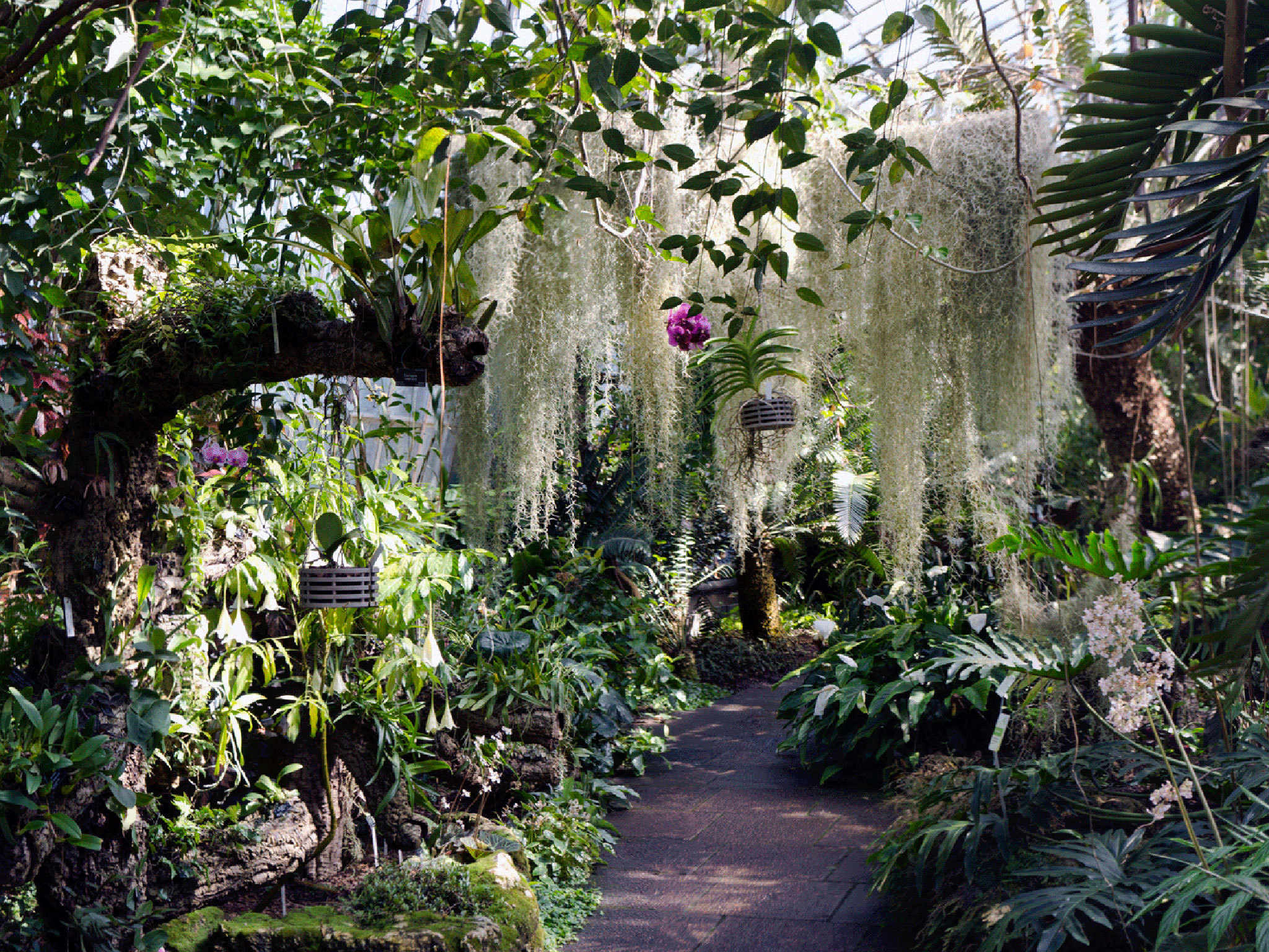 Royal Botanic Gardens Edinburgh photo gallery