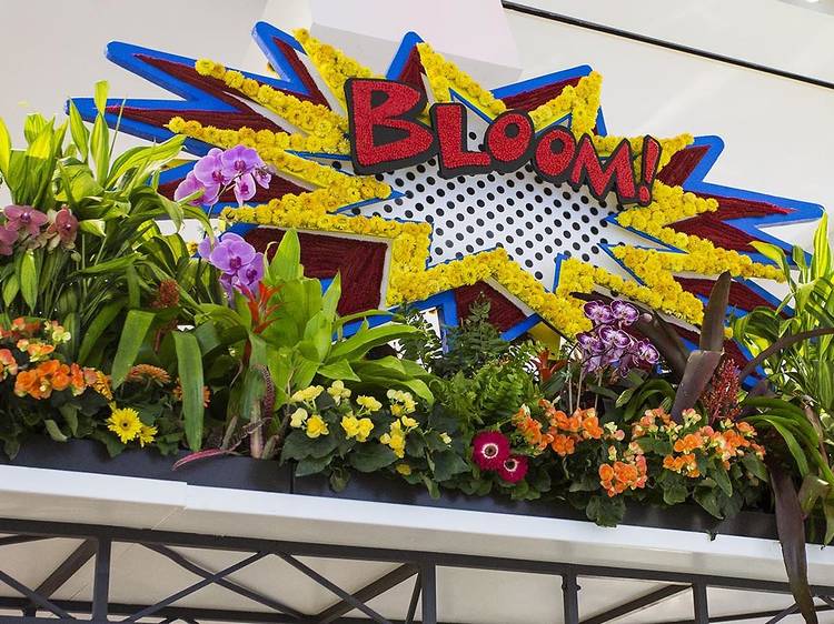596 Macys Flower Show Stock Photos, High-Res Pictures, and Images - Getty  Images