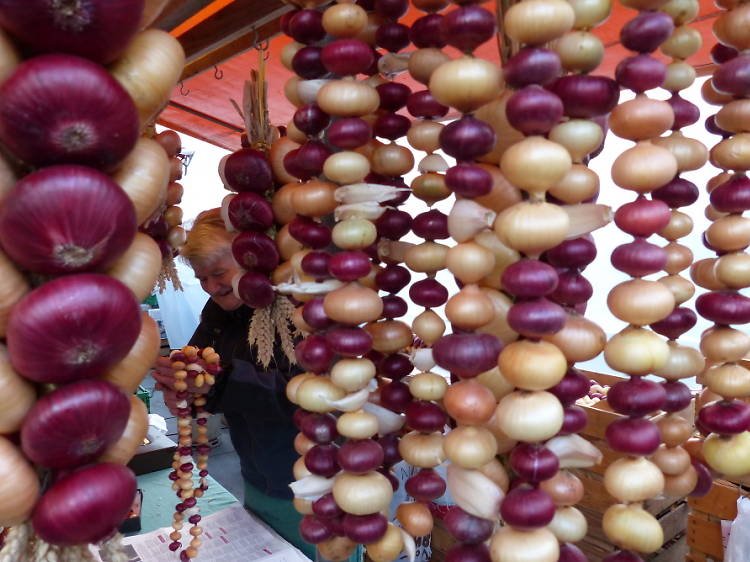 Bern onion market