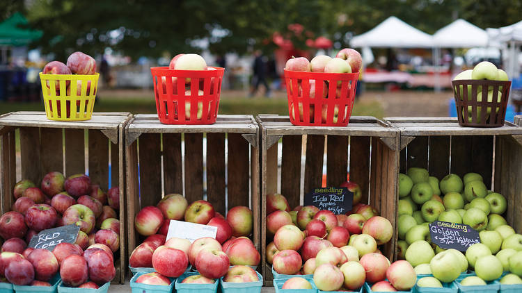 Green City Market Lincoln Park