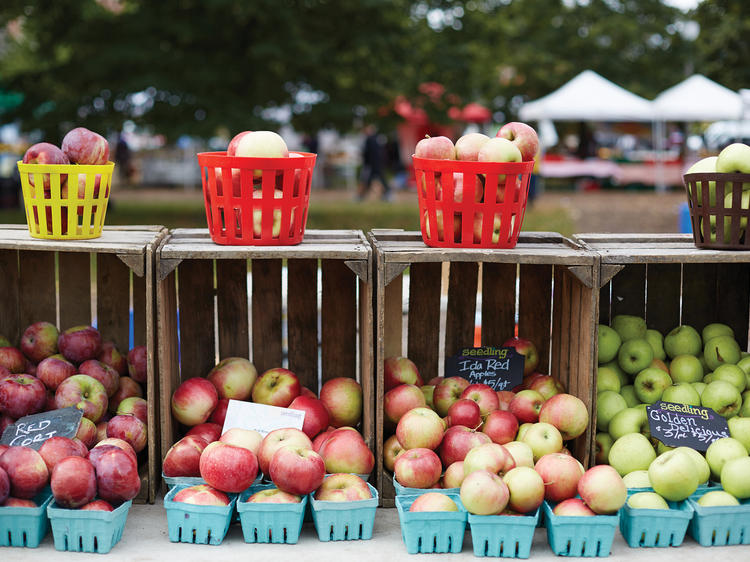 Green City Market Lincoln Park