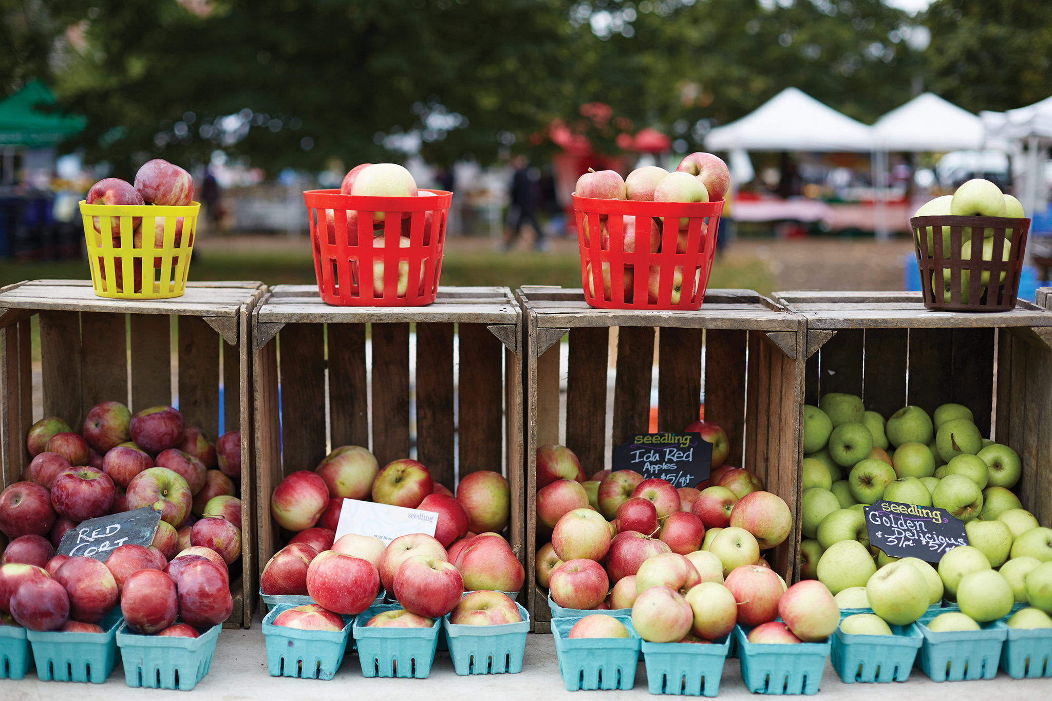 Green City Market Lincoln Park Things to do in Chicago