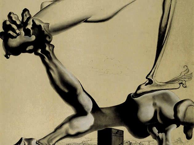 dalí dalí
