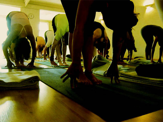Yoga Studio Yoga Studio