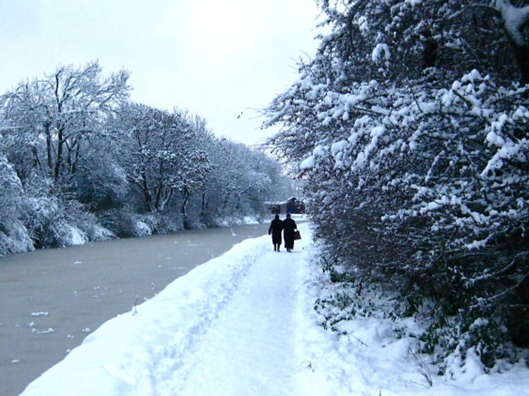 17 peaceful pictures of Edinburgh in the snow