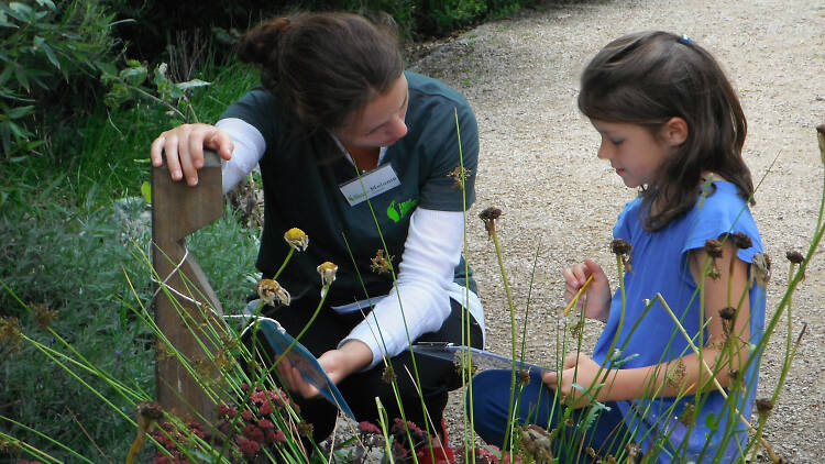 Nature trail at Hyde Park Discovery days