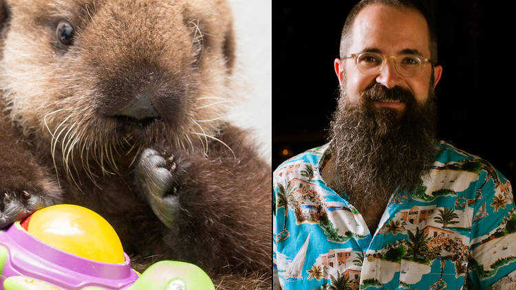 Luna the Otter vs. Paul McGee