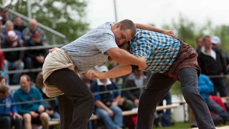 Alpine wrestling and herdsman festival