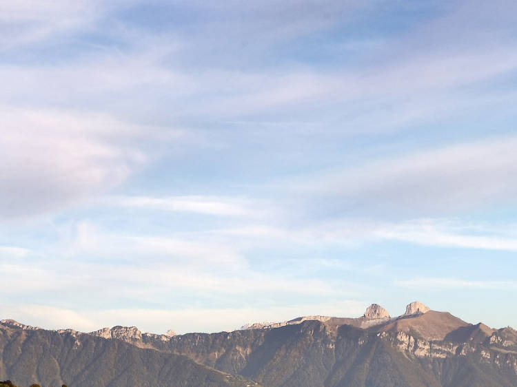 Discover the vineyards of Lavaux