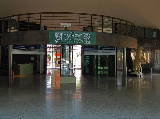 Museo de Historia Natural Museo de Historia Natural