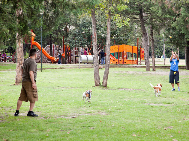 Lugares para pasear a tu perro en Chapultepec Lugares para pasear a tu perro en Chapultepec