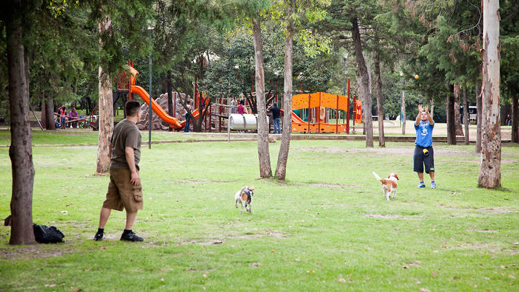 Bosque de Chapultepec