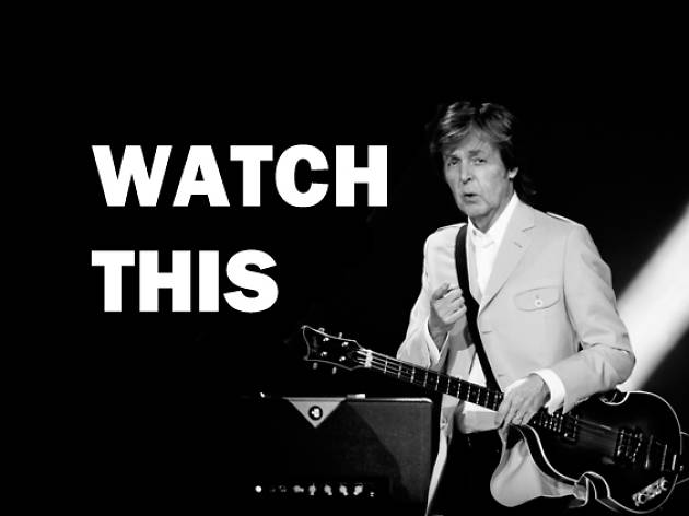 13 acts you have to see at Lollapalooza 2015 13 acts you have to see at Lollapalooza 2015