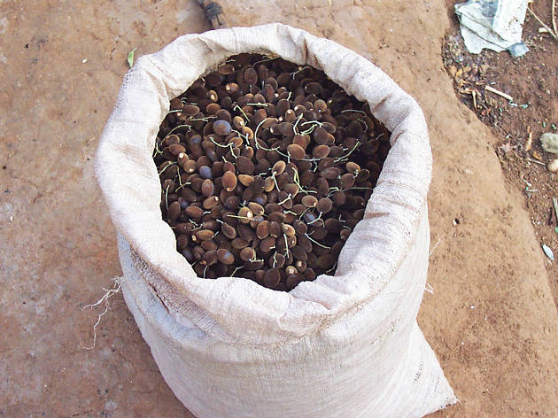 Velvet tamarind Velvet tamarind