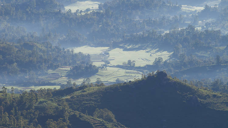 Moon Plains in Nuwara Eliya