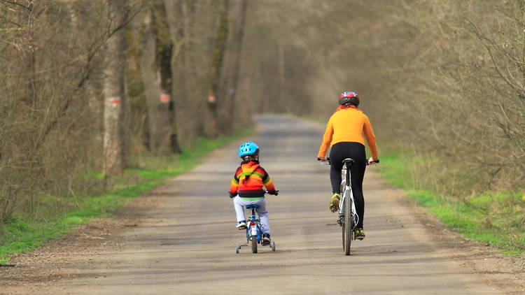 bicicleta