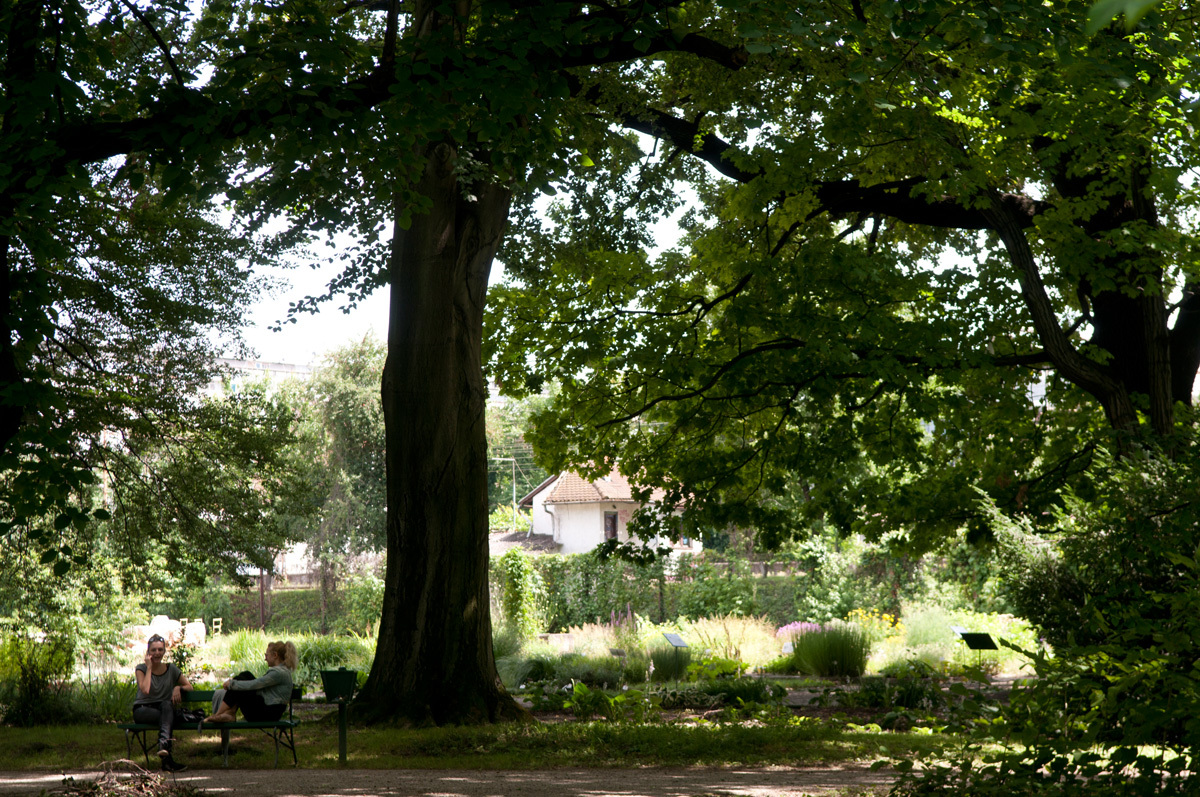 Botanical Gardens | Attractions in Lower Town, Croatia