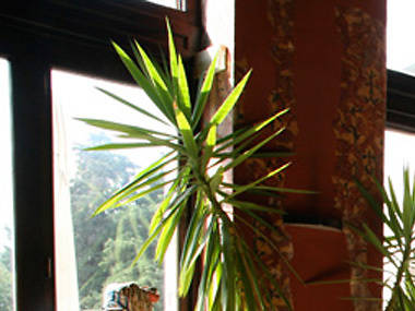 Sip coffee at Cvajner Sip coffee at Cvajner