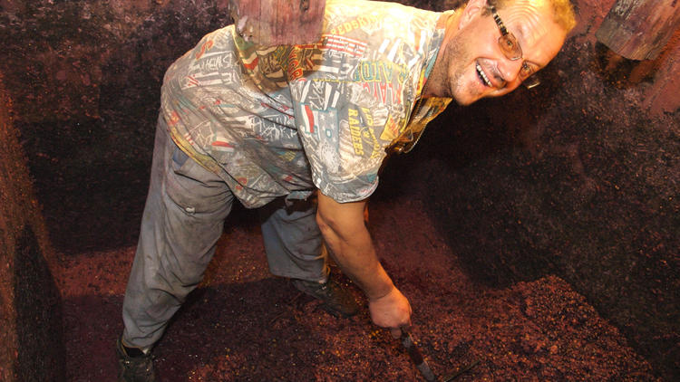 Making wine at Konoba Tomić, Gornji Humac