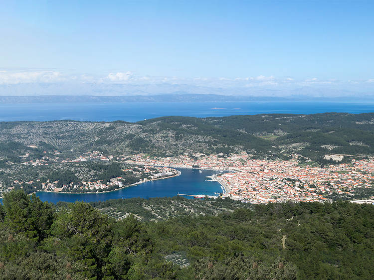 Vela Luka