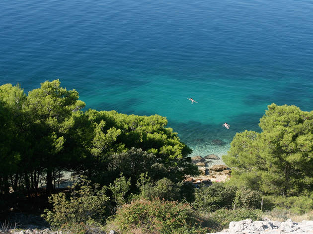 Mljet Mljet