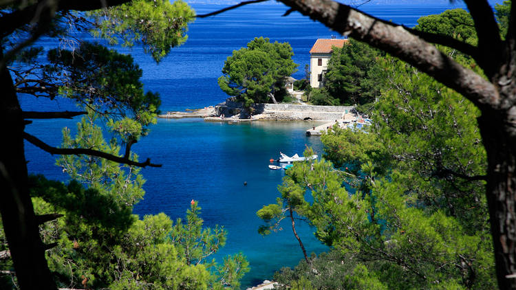 Catch a boat to Lošinj