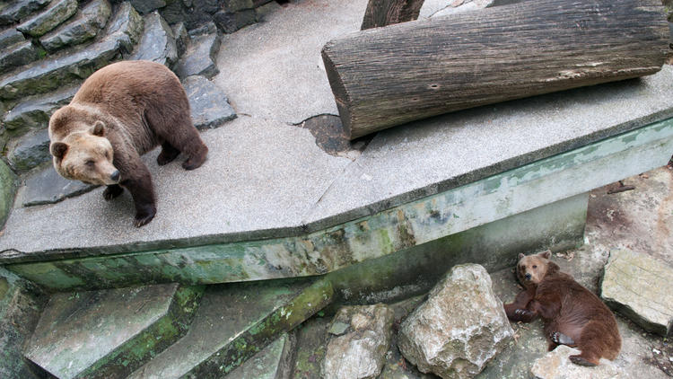 Maksimir Zoo